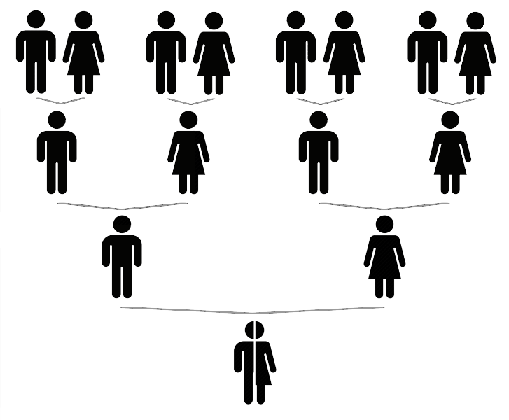 Généalogie ascendante